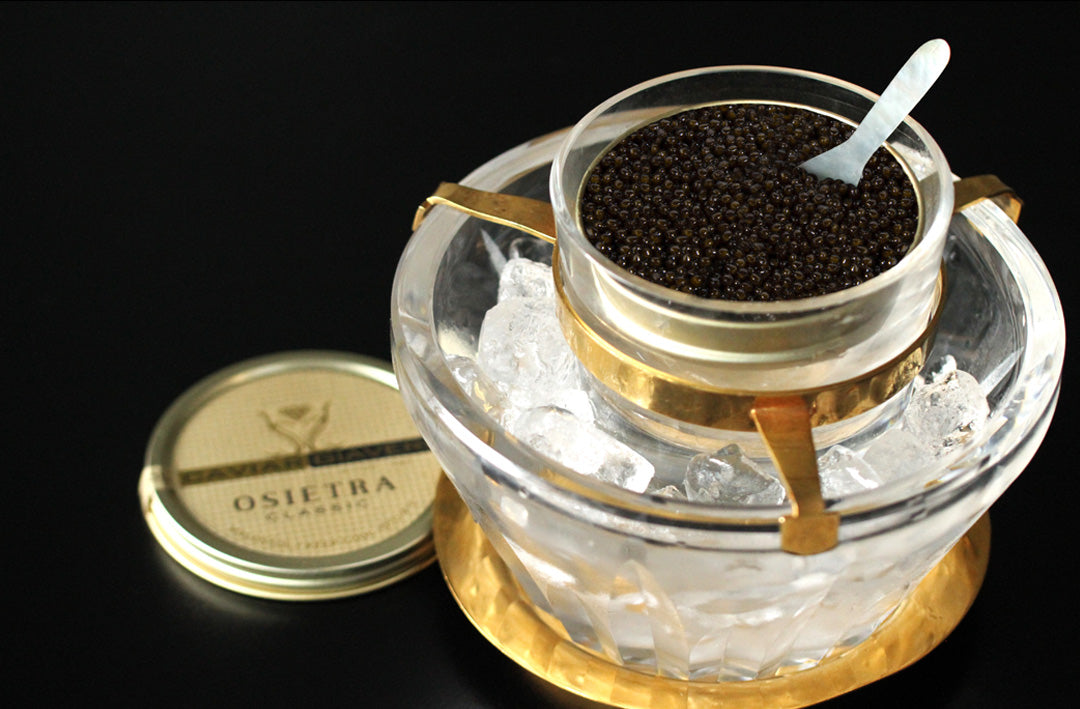 Sturgeon Caviar (Giaveri family)