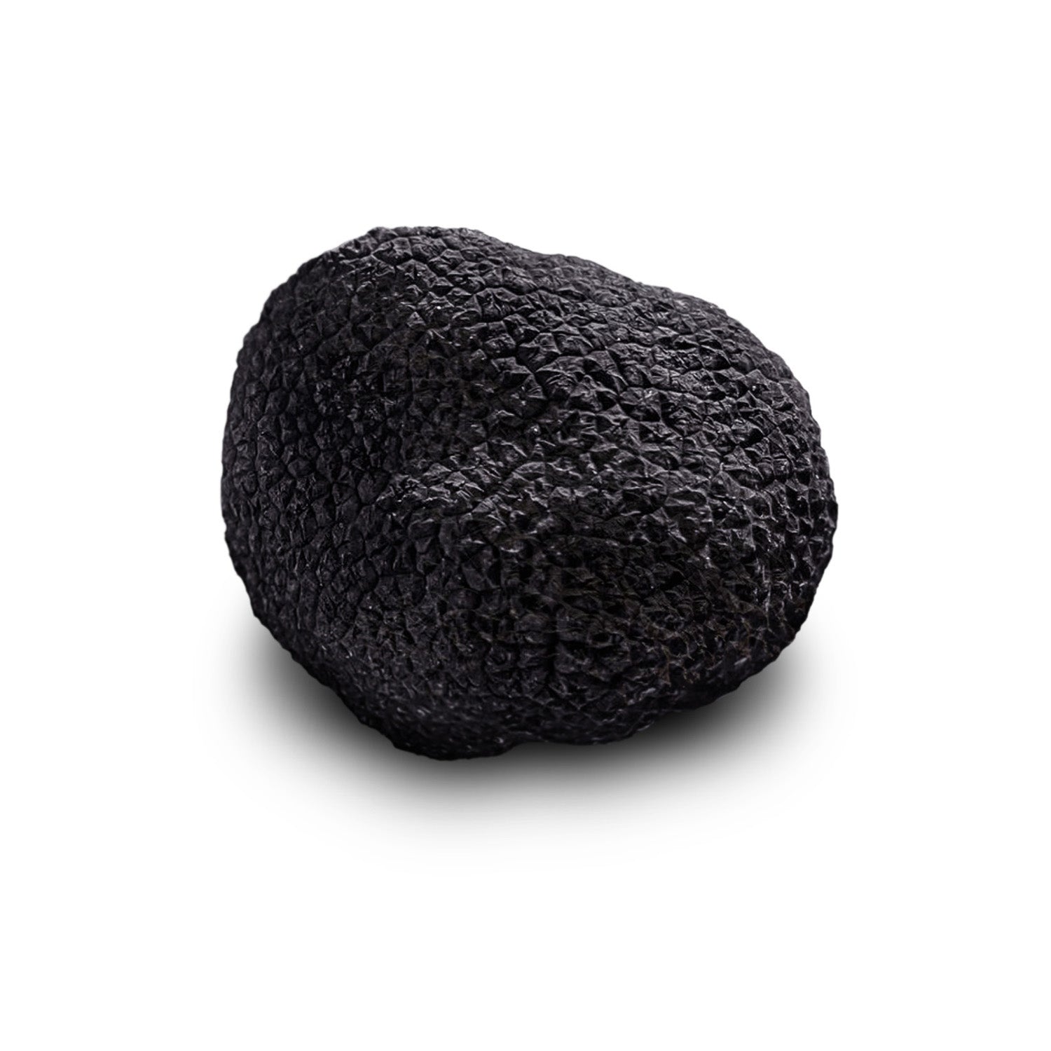 Black Truffles European