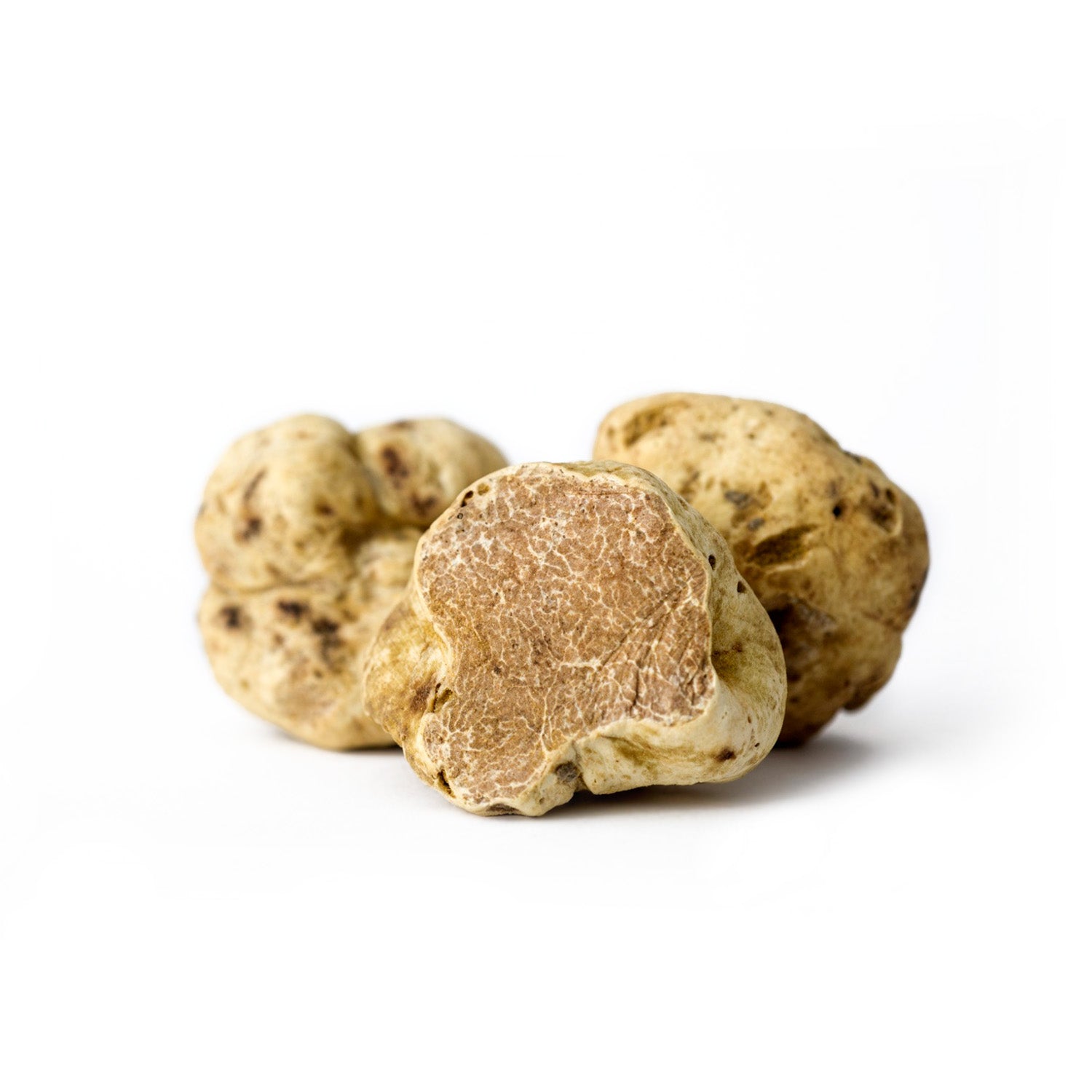 European White Truffles