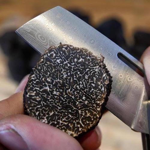 Where to buy truffle