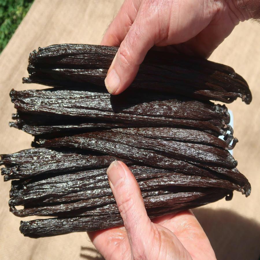 Vanilla bean supplier