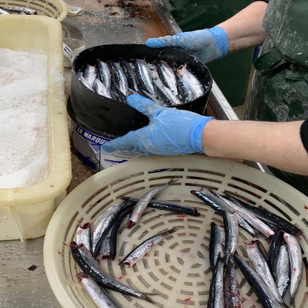 Buy anchovies online australia