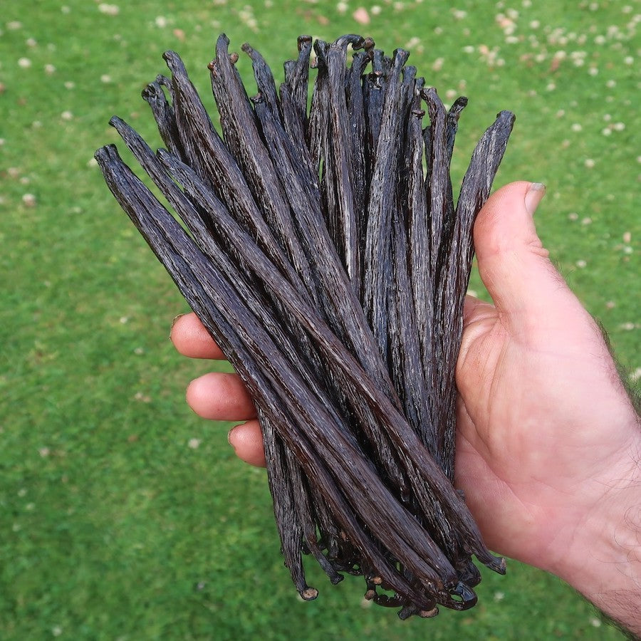 Vanilla beans Melbourne