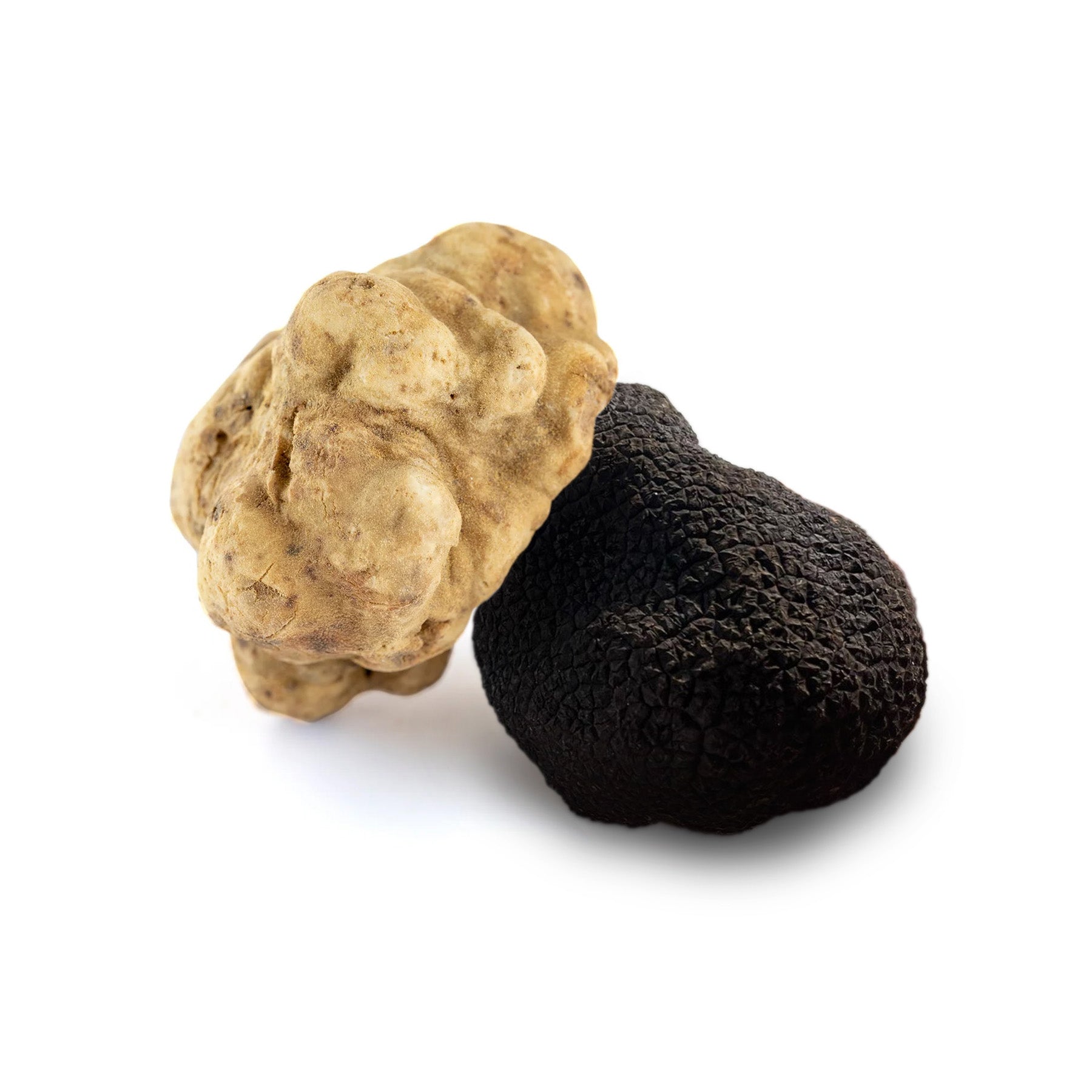 Fresh Truffles