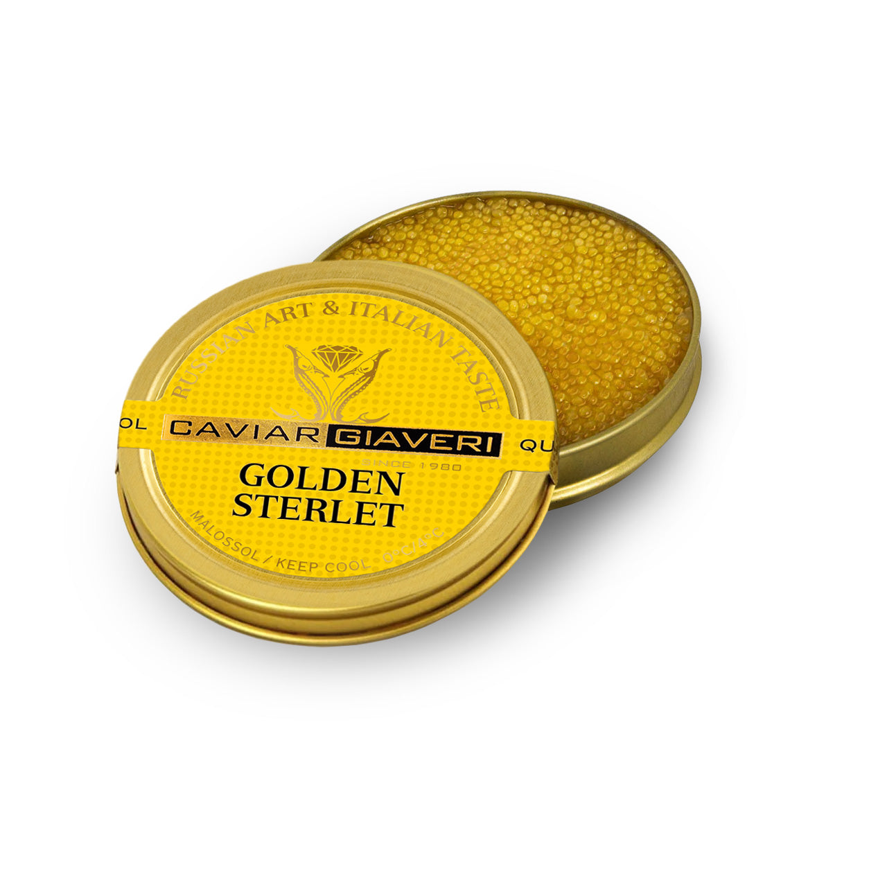30g Golden Sterlet