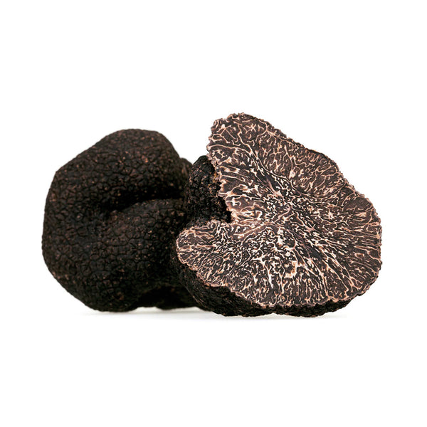 Large Black Truffles