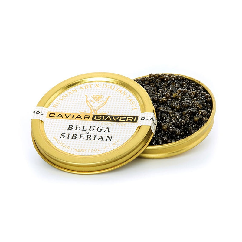  beluga sturgeon caviar