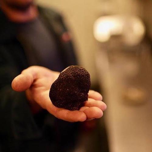 Black diamond truffle