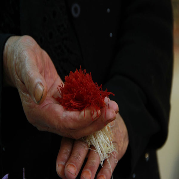 Saffron extract australia