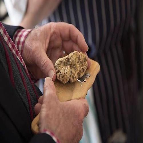 White truffle season